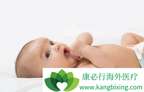 胚胎专家